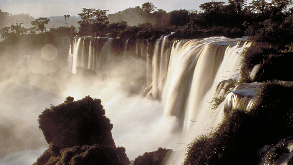 Wild South America